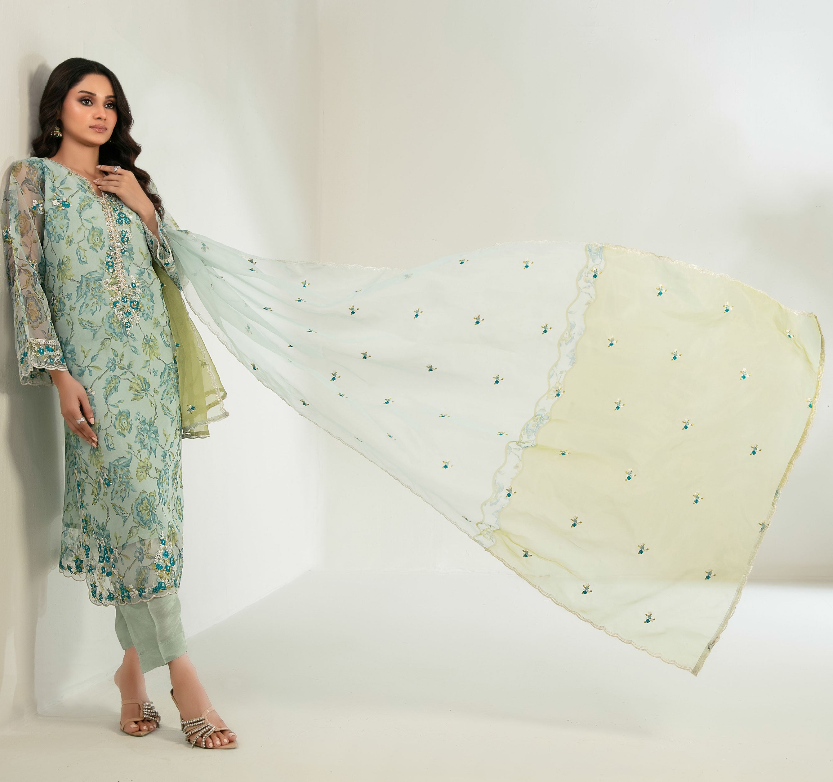 Green Haze Stitched Fancy Embrioderd organza suit